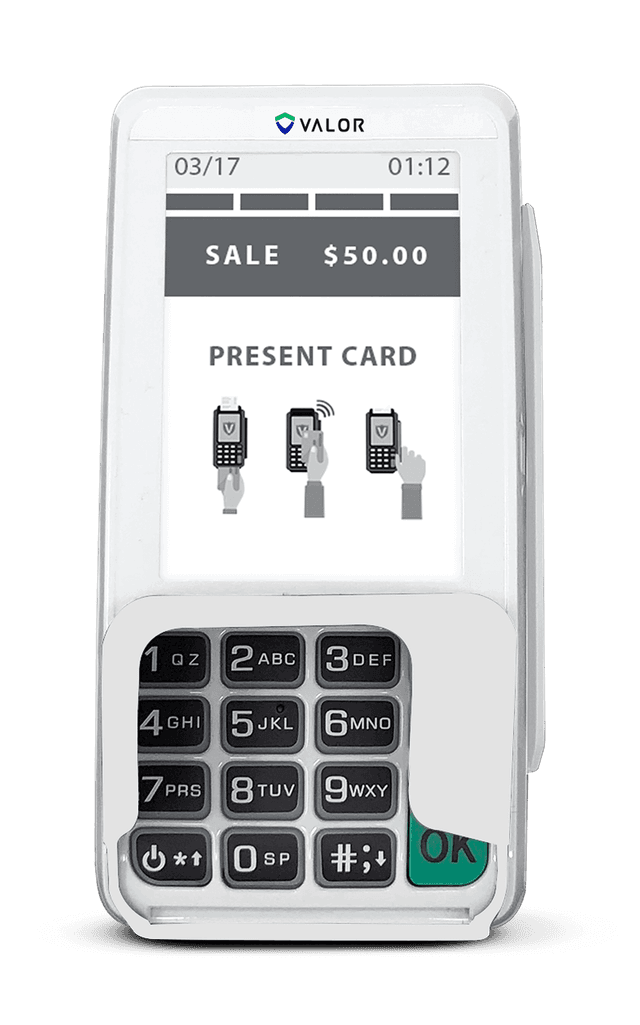 Valor VL300